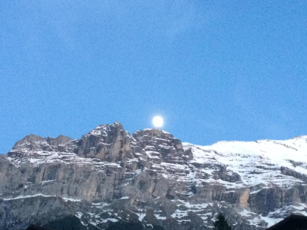 Luxury, New - Amazing Views Grindelwald Eiger Jungfrau Moench Leilighet Eksteriør bilde