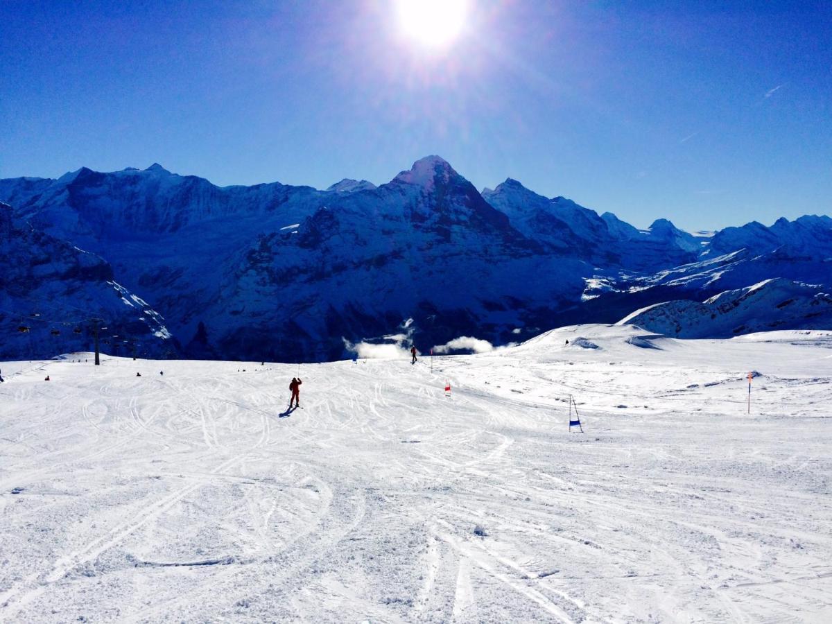 Luxury, New - Amazing Views Grindelwald Eiger Jungfrau Moench Leilighet Eksteriør bilde