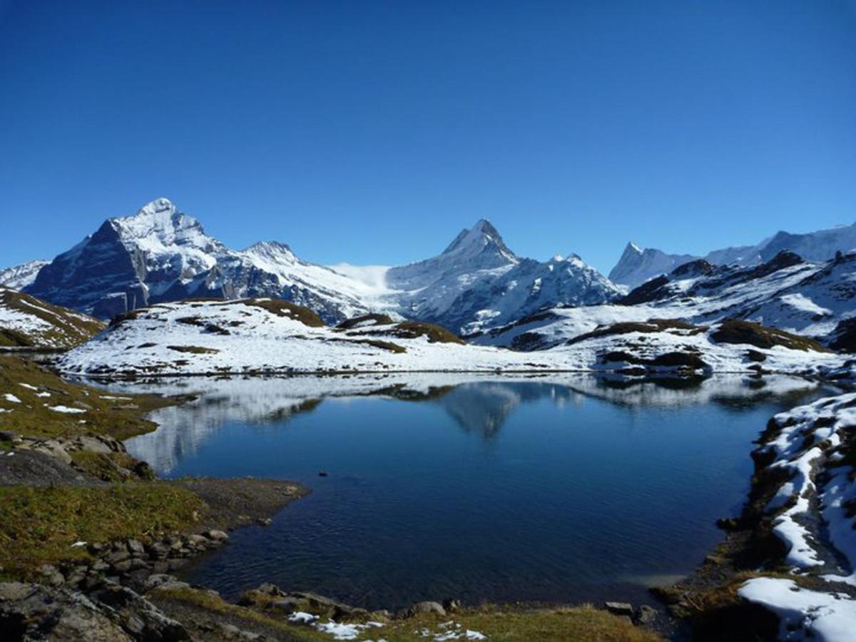 Luxury, New - Amazing Views Grindelwald Eiger Jungfrau Moench Leilighet Eksteriør bilde