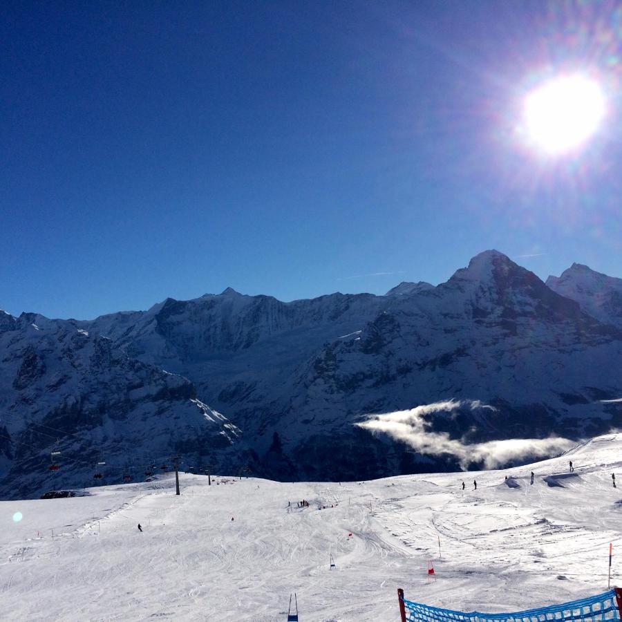 Luxury, New - Amazing Views Grindelwald Eiger Jungfrau Moench Leilighet Eksteriør bilde