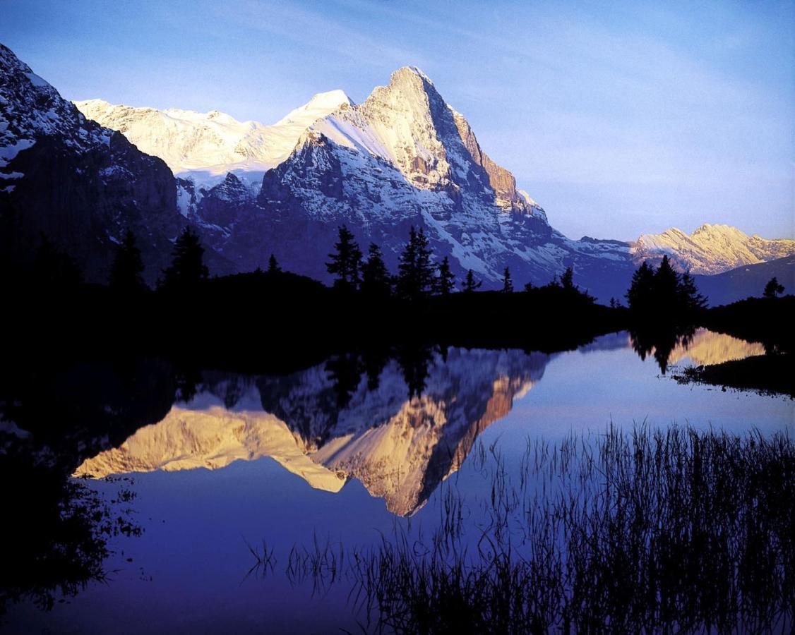 Luxury, New - Amazing Views Grindelwald Eiger Jungfrau Moench Leilighet Eksteriør bilde